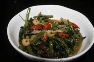 tumis kangkung saus tiram