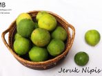 jeruk nipis